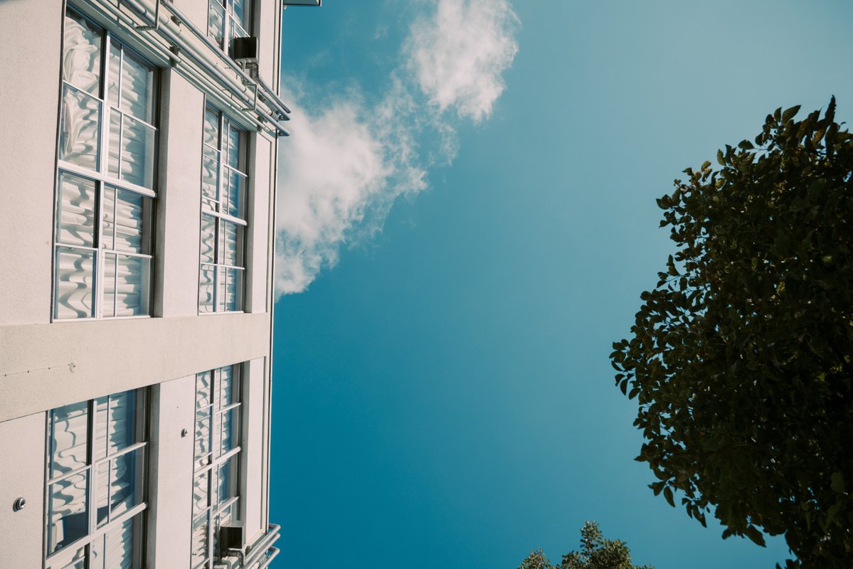 ytbo's tweet image. 小学校

#SigmaBF