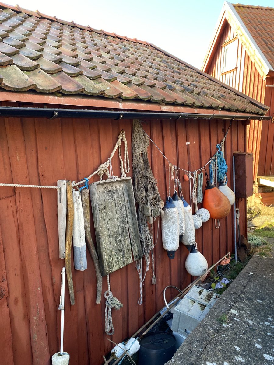 Charlotta 🇸🇪 tweet media