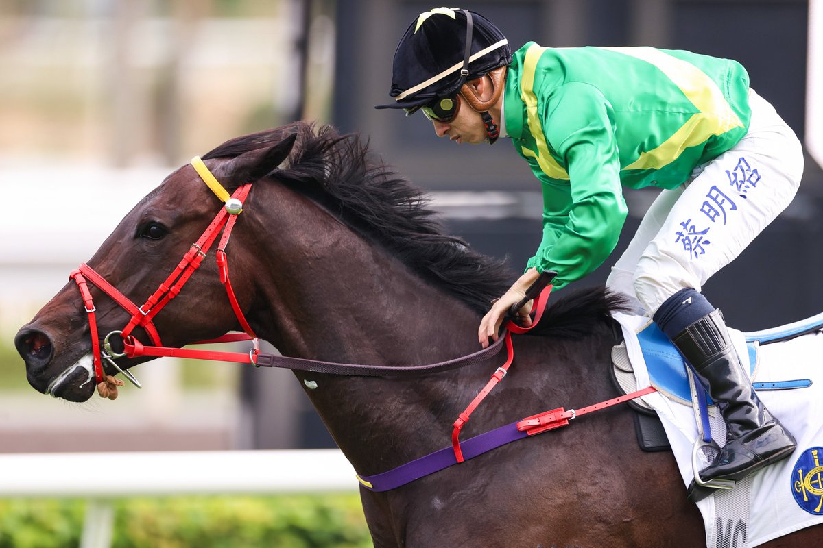 C'est fini pour aujourd'hui à Hongkong ! Merci de nous avoir suivis. Bucephalas 📸 nous a sauvé la matinée mais ça n'a pas été simple...
On se retrouve ici mercredi à Happy Valley pour 9 courses <a href="/PMU_Hippique/">PMU Hippique 🔞</a> à partir de 11h40.
Bon week-end de l'Obstacle à Auteuil !