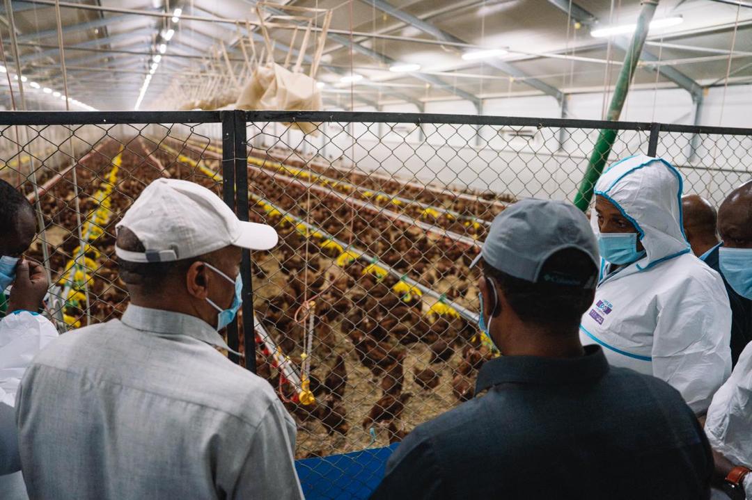 AbiyAhmedAli's tweet image. This morning, I addressed the people of Kemise Town, the administrative center of the Oromia Zone in the Amhara Regional State. This visit holds special significance, as it marks a zone I had yet to visit within the Amhara Region. Kemise’s early-stage corridor development…