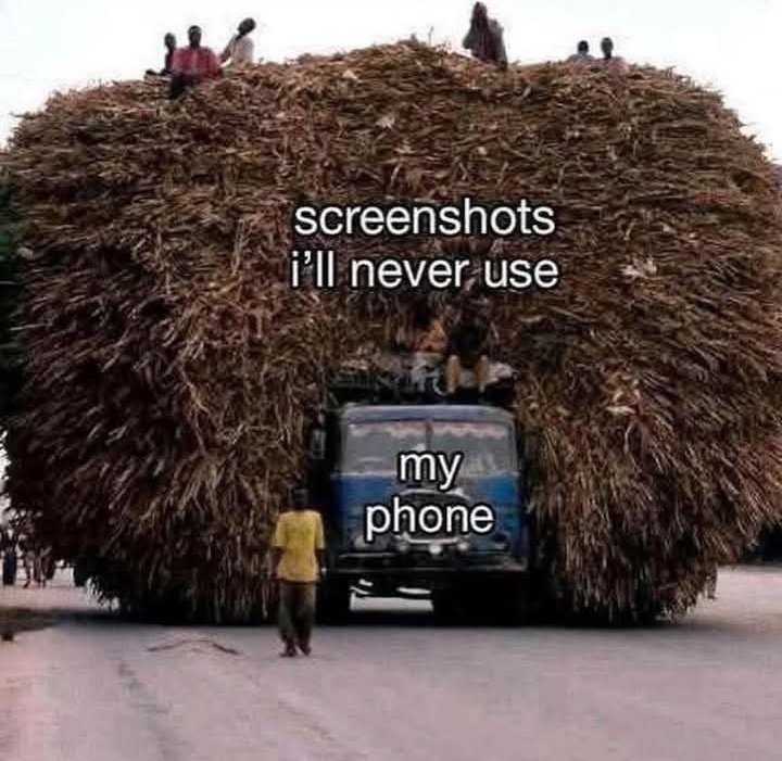 danieldane101's tweet image. 🤦‍♂️🤣