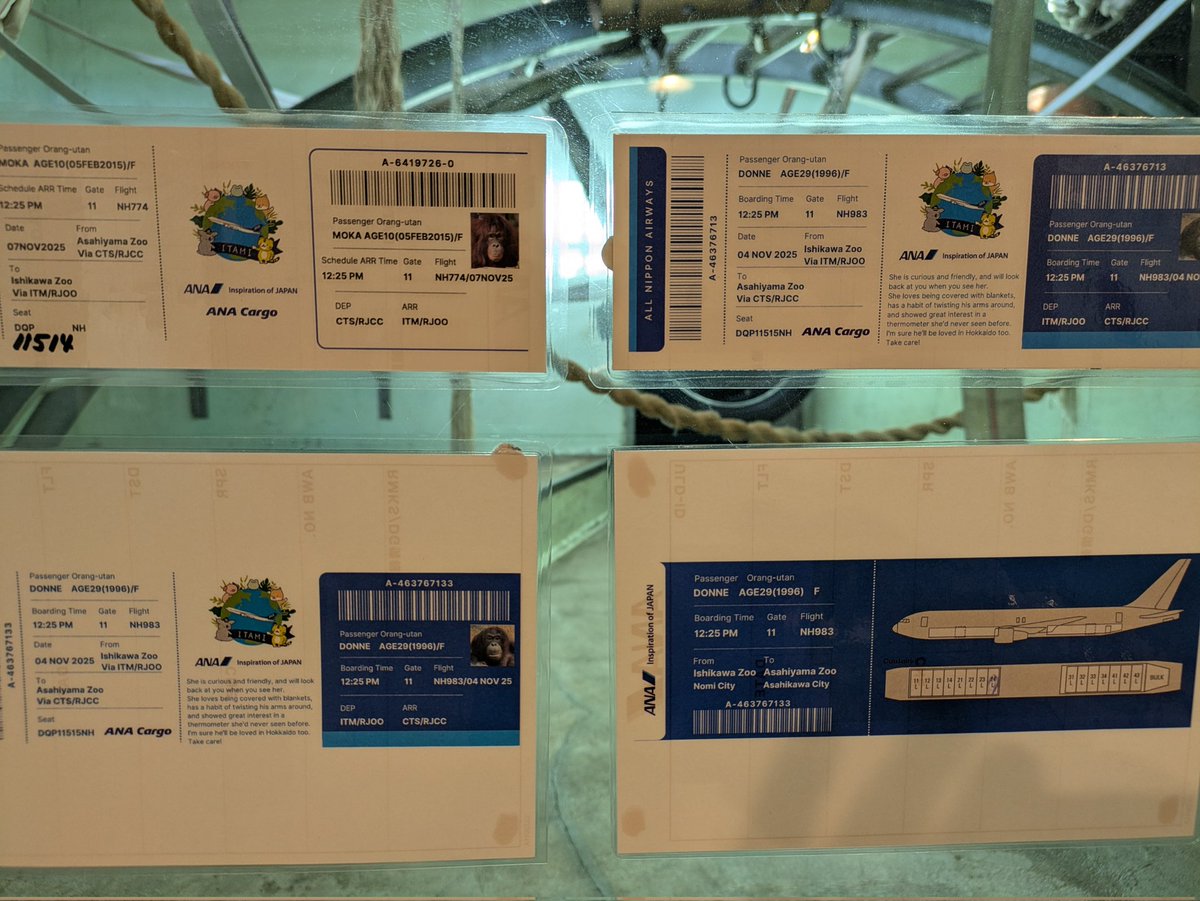 nobuharuna78398's tweet photo. 撮ってきました
📷️2025/11/15
#いしかわ動物園 https://t.co/RNEPEP5VXx