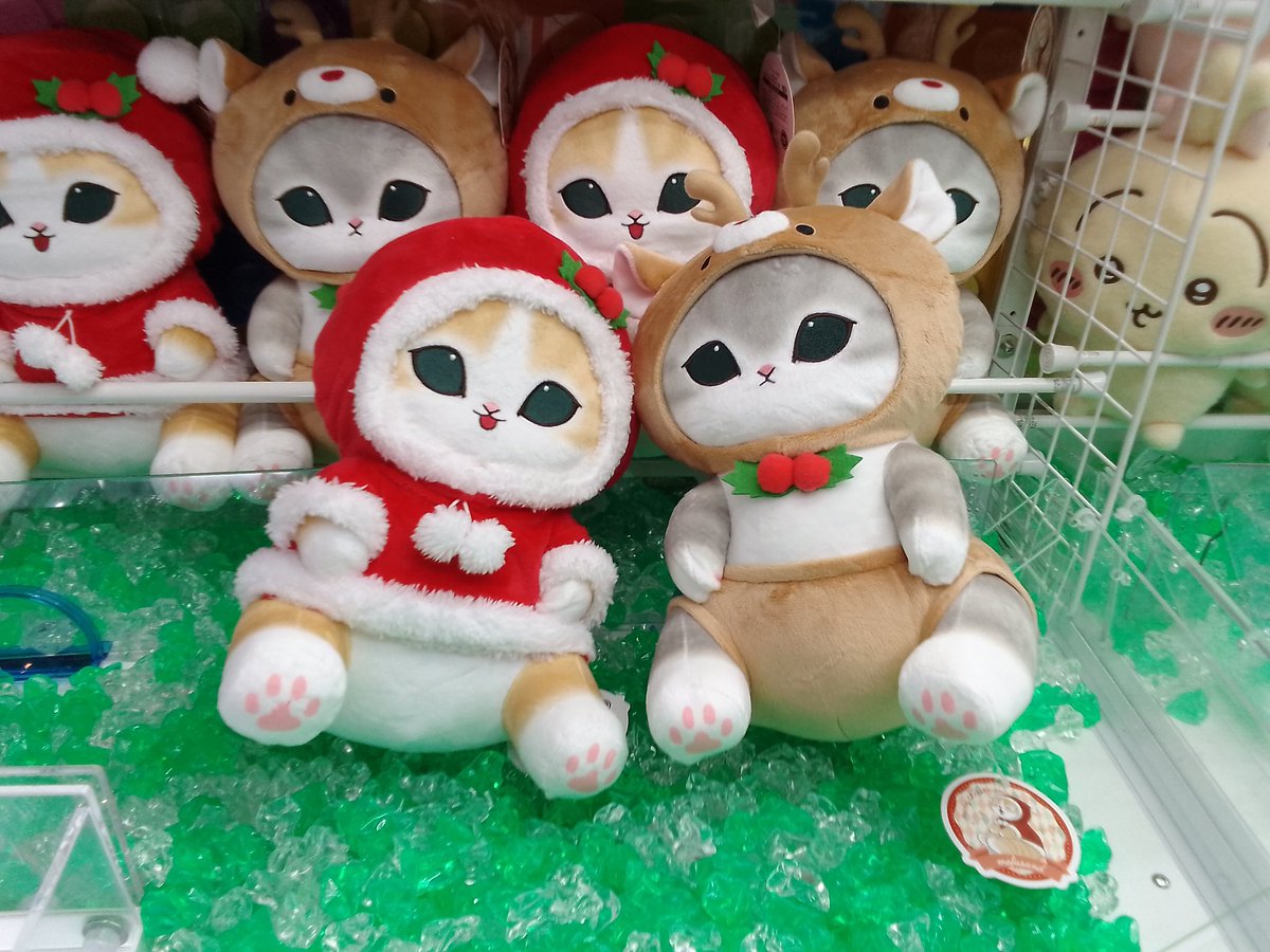 高知店プライズ情報】 高知店では新たにmofusandクリスマスにゃんBIG
