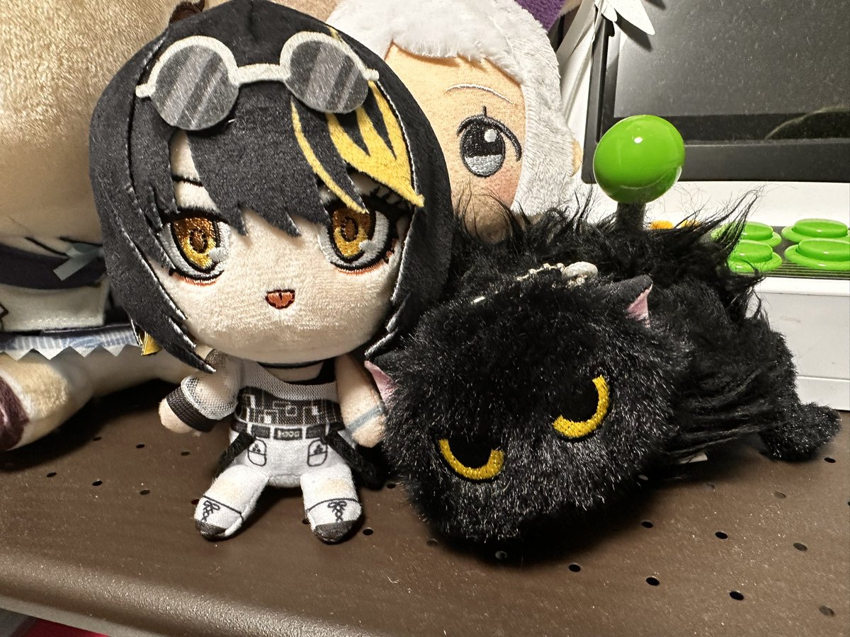 これはどちらも斑鳩ルカです🐈‍⬛