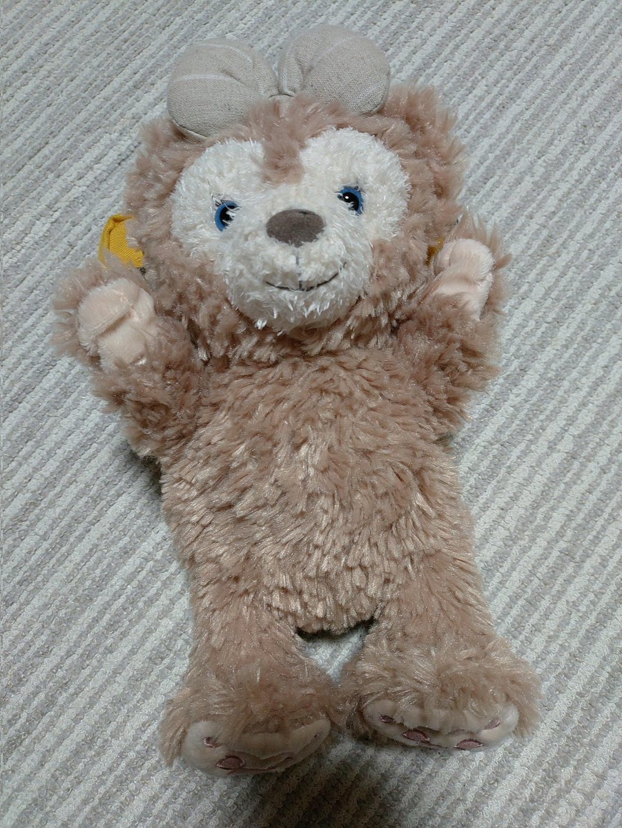 最近の姪っ子ちゃんのお気に入りがシェリーメイのようでずっと抱きしめ