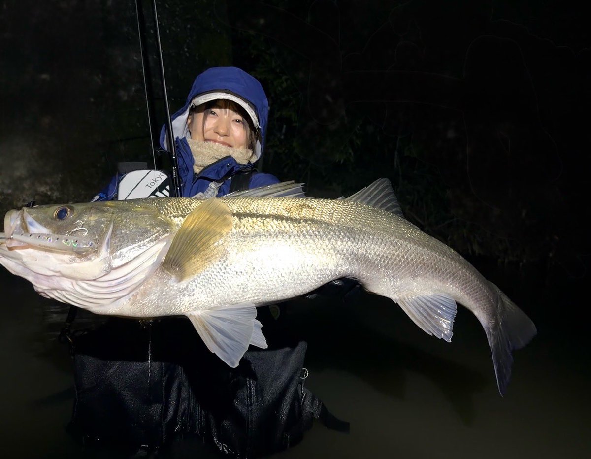 片山愛海 (@nalnal_fi) / Posts / X