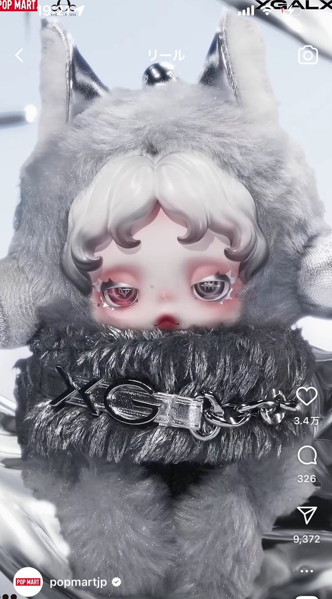 🐺🤎skull panda x XG🤎🐺 スカルパンダPOPUP 整理券番号 アンケート