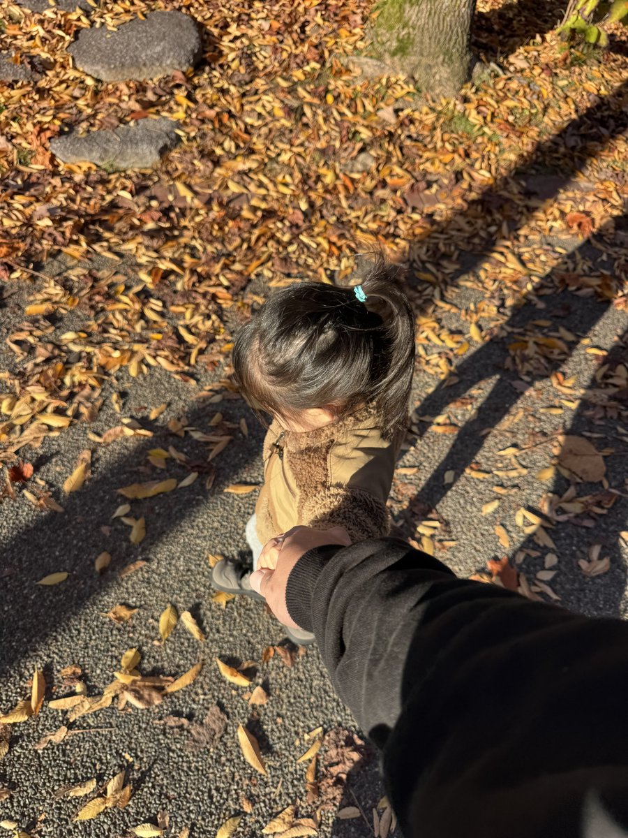 なぎ (@CFTnagi) / Posts / X