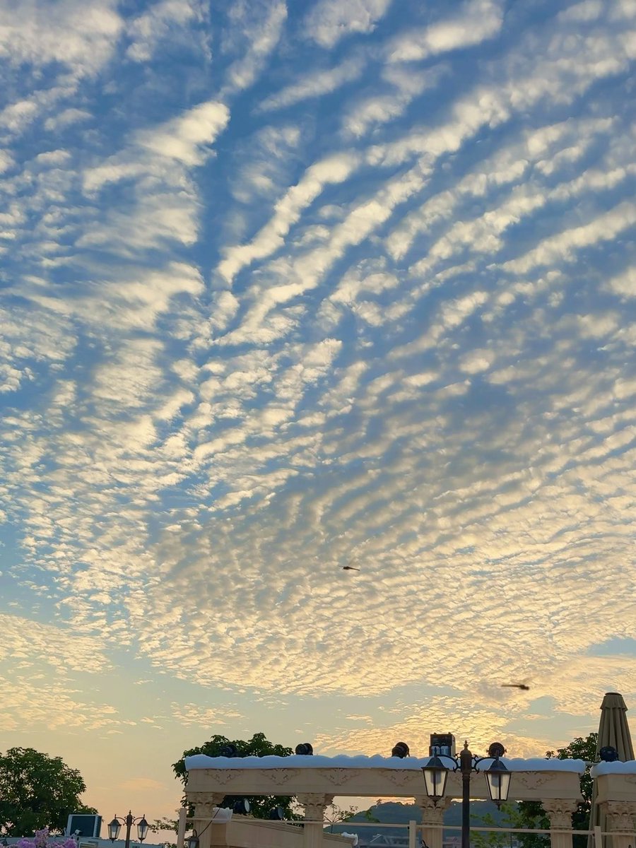 SamcPonsce's tweet image. ☁️ 雨上がりの雲は柔らかくて、空に溶けていくように見える。