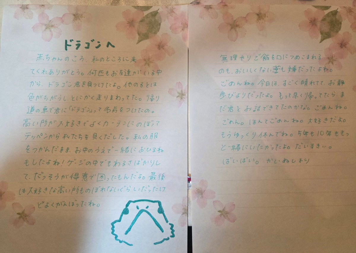 明日、お手紙と一緒に火葬するから 今日まで一緒に生きたことをここに