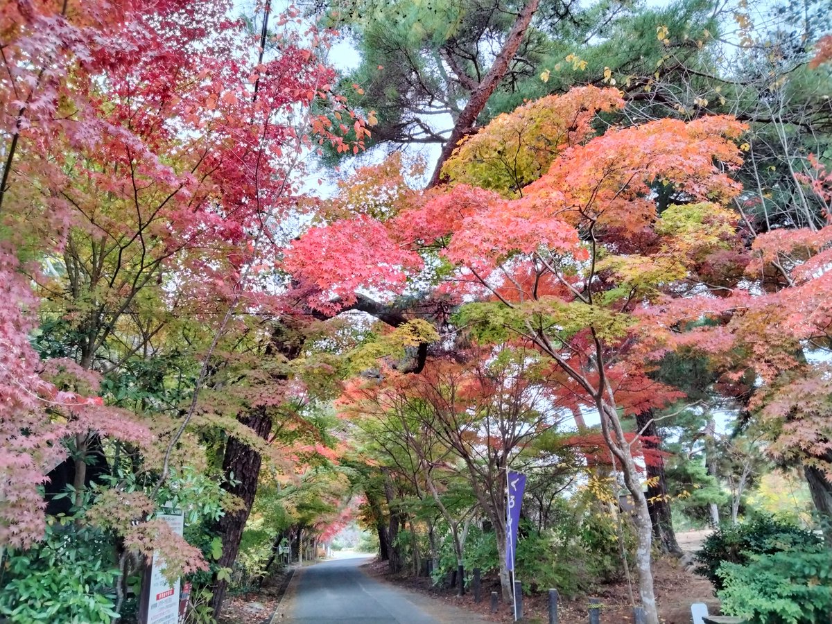 KAGUYA🍀高配当株投資🔰 (@princesskgy) / Posts / X