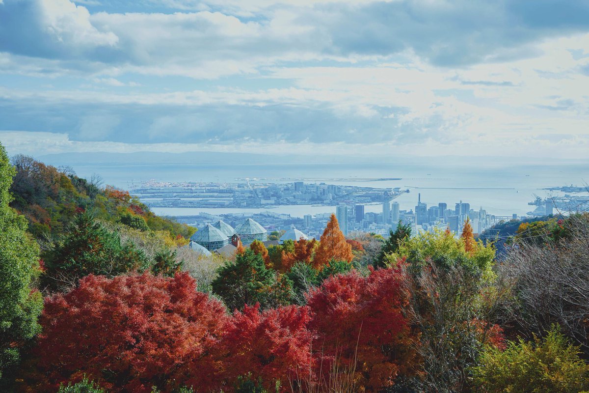 神戸の紅葉の名所「布引の紅葉」が見ごろです。秋色に彩るガーデンと