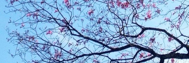 ✨ • Soren • 🩵 Flyte's husband 🦋 tweet media