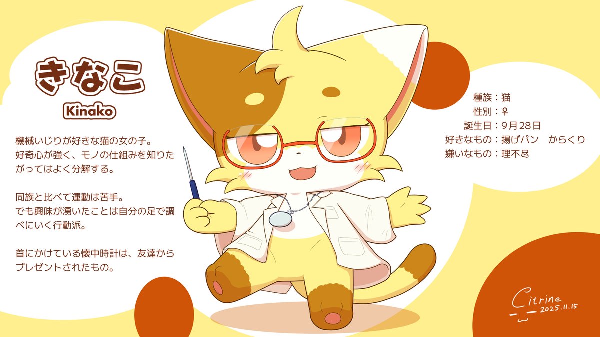 シトリン様ご確認ページ 11月の誕生石 シトリン (Citrine) 黄水晶商品一覧 | 宝石ルースの専門