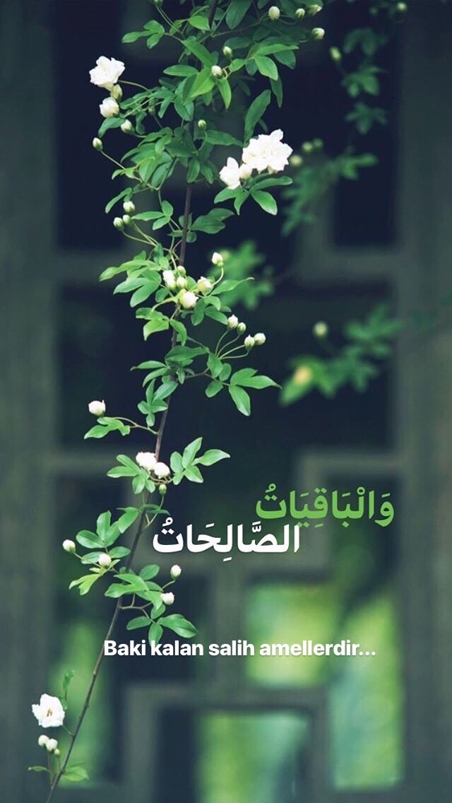 Handan Özduygu (@handanozduygu) on Twitter photo 