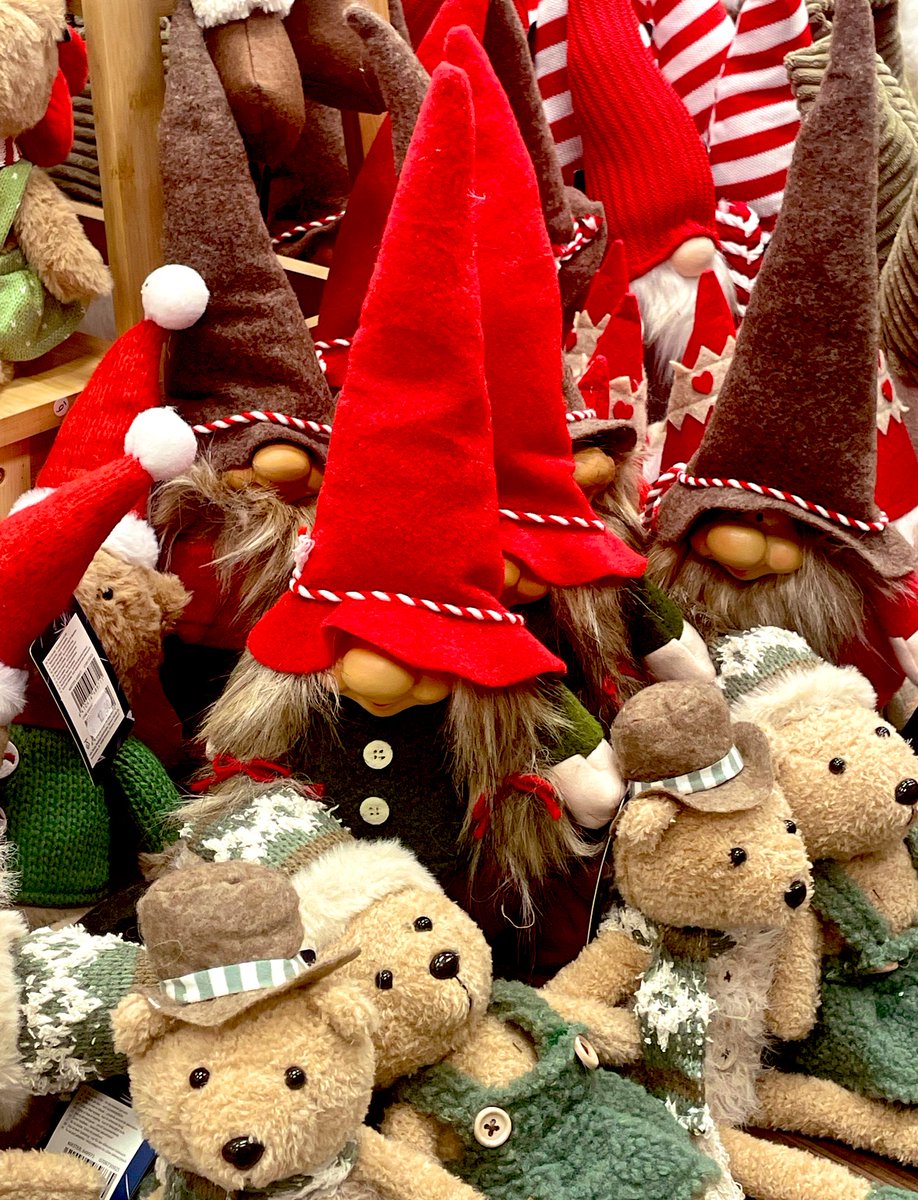 pinecanvasblog's tweet image. I walked in on a gnome gathering @serene_hilz