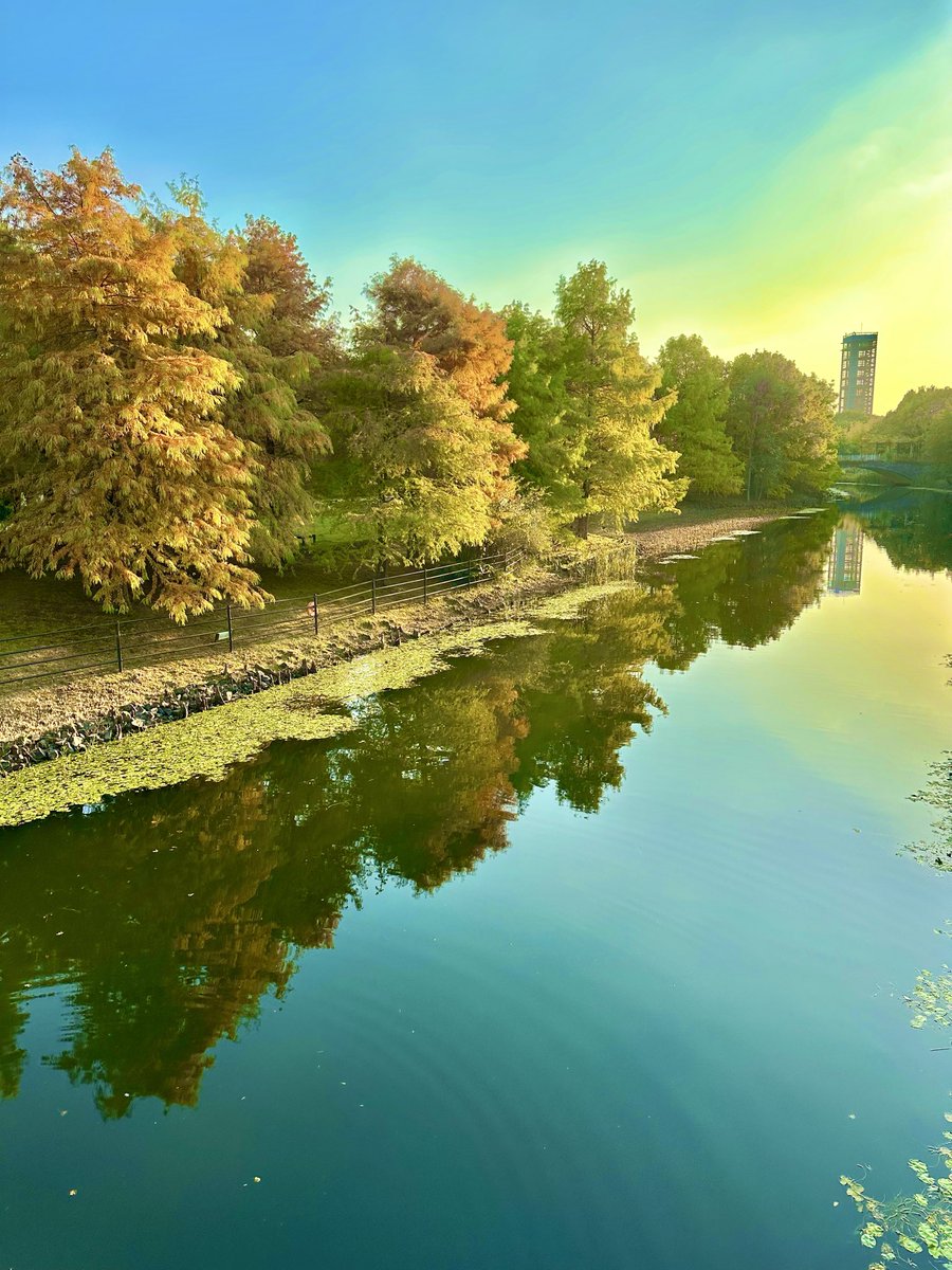 シェリー (@PSdceZuWHh6SPjj) / Posts / X