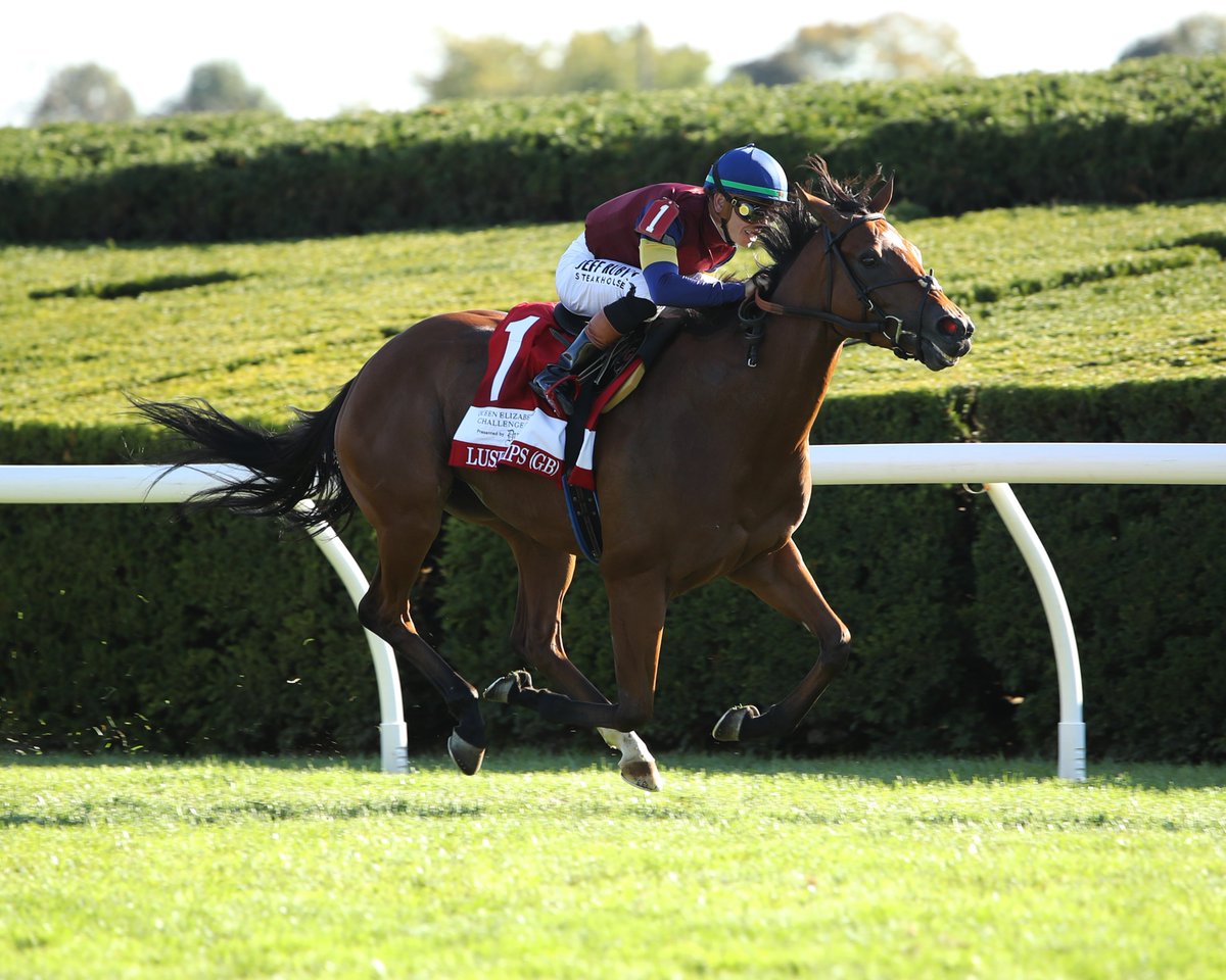 It all starts at Goffs.

November Breeding Stock mares continued to produce Group 1 stars in 2025, including:

PRECISE  🇮🇪🇬🇧
EXCELLENT TRUTH 🇺🇸
ROMANTIC WARRIOR 🇦🇪
LUSH LIPS 🇺🇸