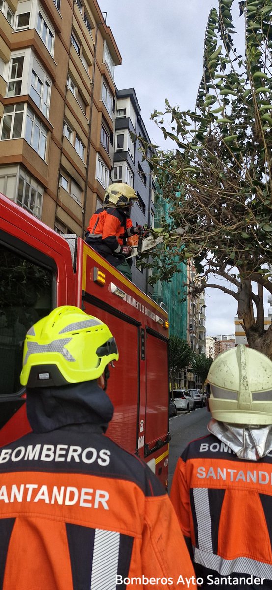 ASISTENCIA TÉCNICA
A lo largo de la mañana nos hemos desplazado a la calle Dr. Marañón y Marqués de la Hermida de #Santander para revisar fachada y quitar ramas rotas de árbol que dificultan el paso de vehículos.