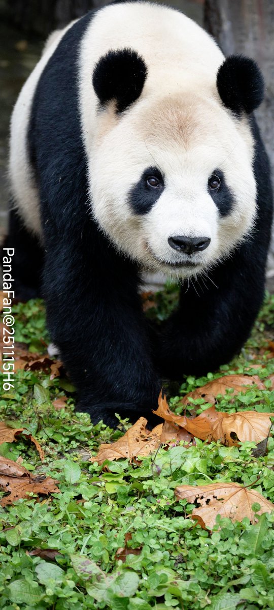 Good Night to you from Riri today🥰