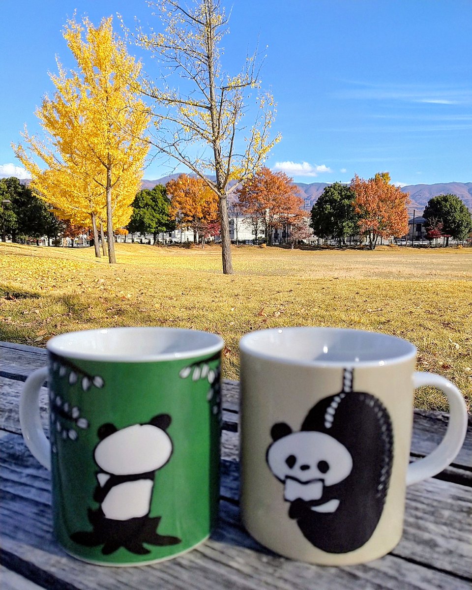 ari_mai5's tweet photo. 良い天気なのでマグカップとコーヒー持参で公園へ。カップは他に明るい黄色と濃い青色の、動物園内でYoudaが本を読む図柄のも持ってたのだけど、割ってしまって手元に残っているのはこの2つ。いつまた割ってしまうかわからないので画像で残して置きたくて。
#Youda?
#パンダ
#新潮社
#読書
#公園 https://t.co/zquWQ2Qw9v