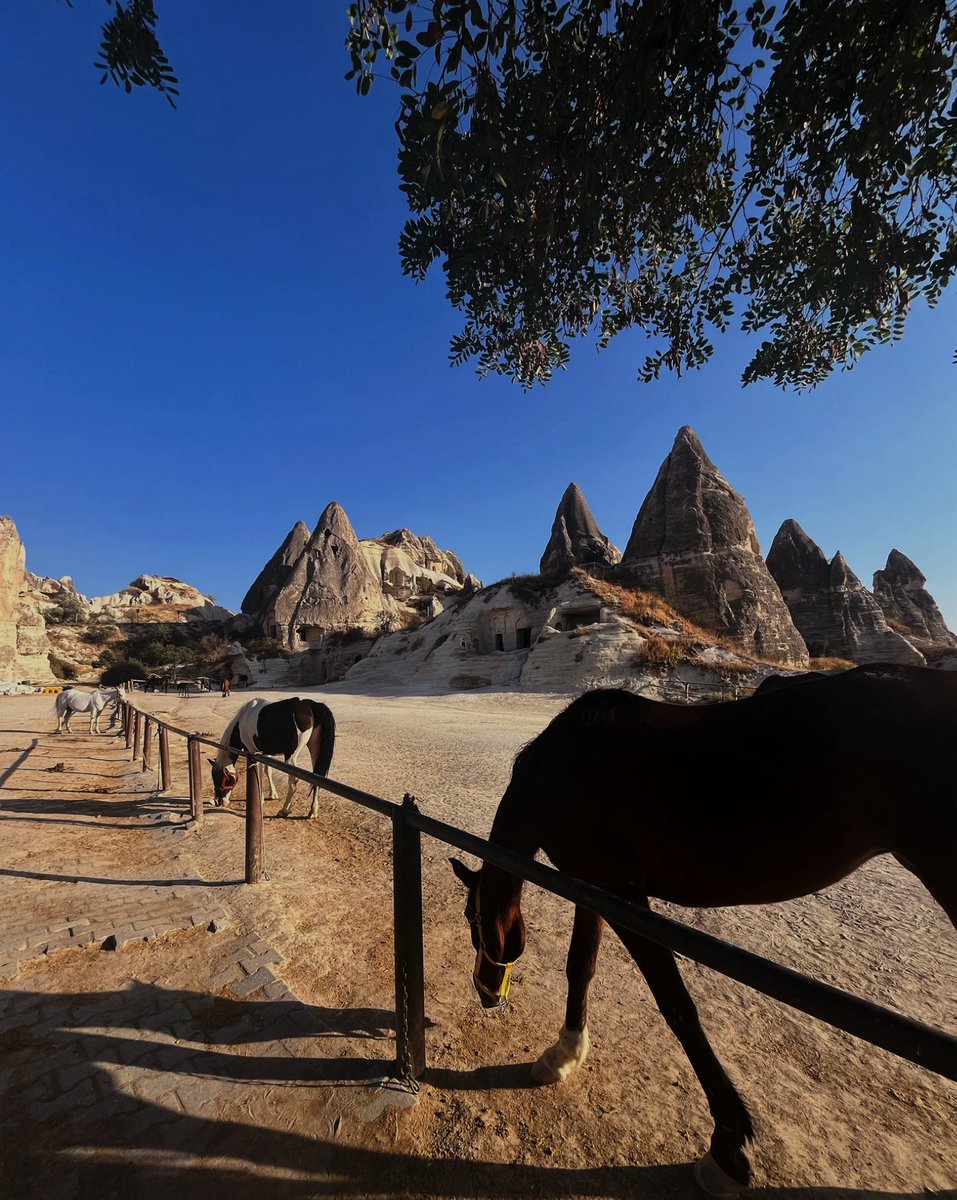 Atlara ve uzaklara…