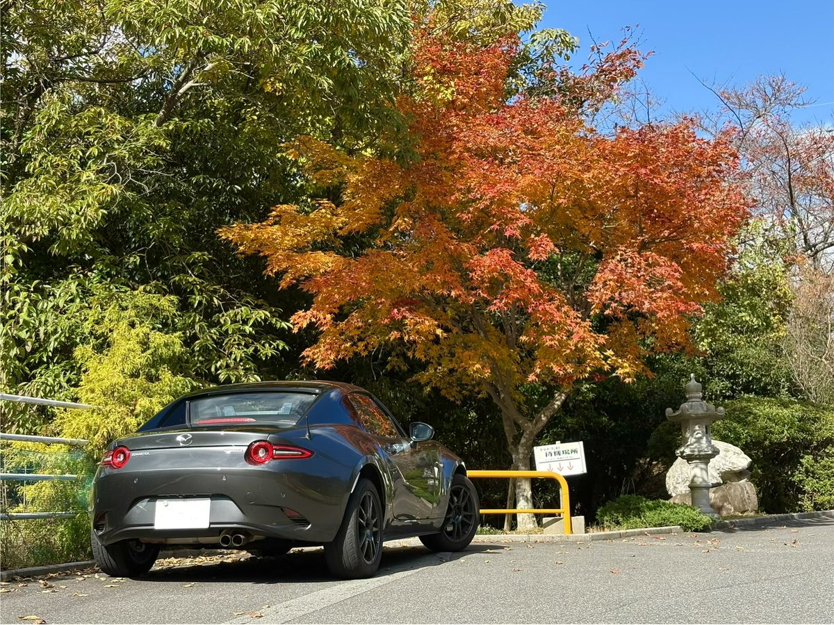 紅葉が始まってきました