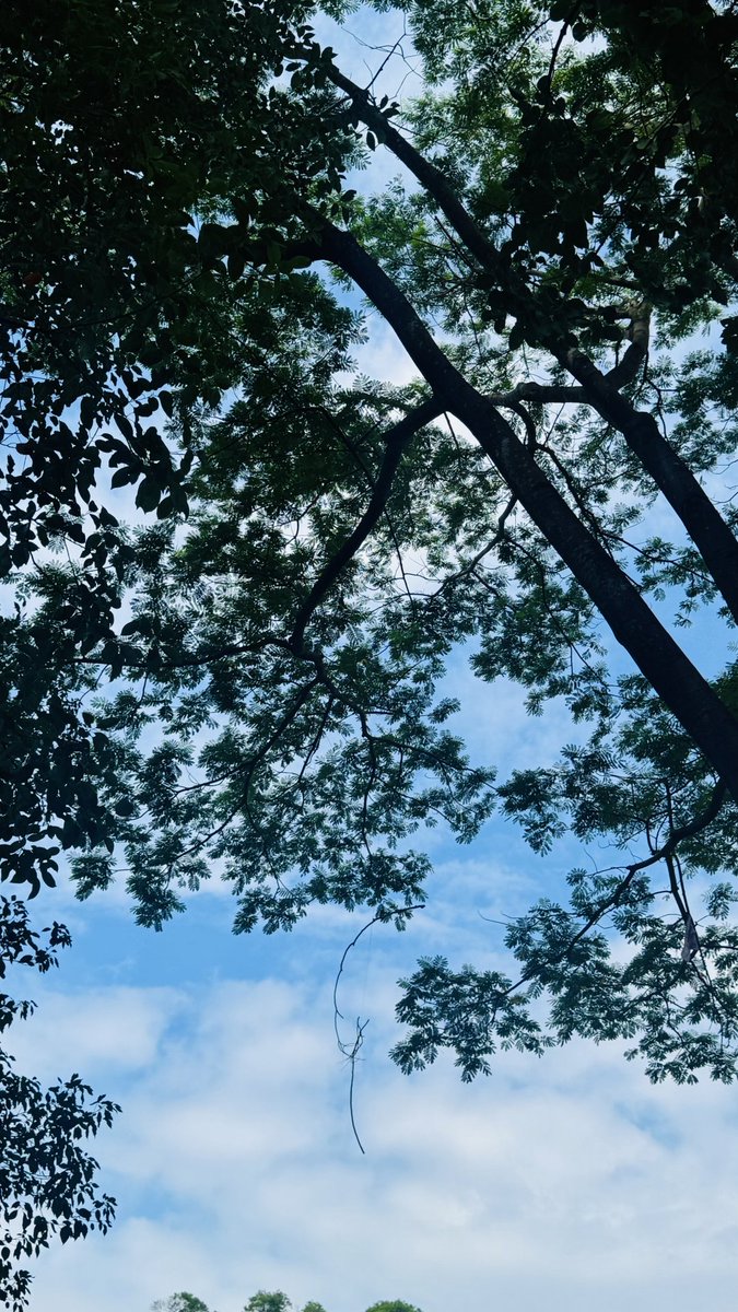 AxlvvWare's tweet image. 見上げた空に、今日の答えがある気がした。🌤️