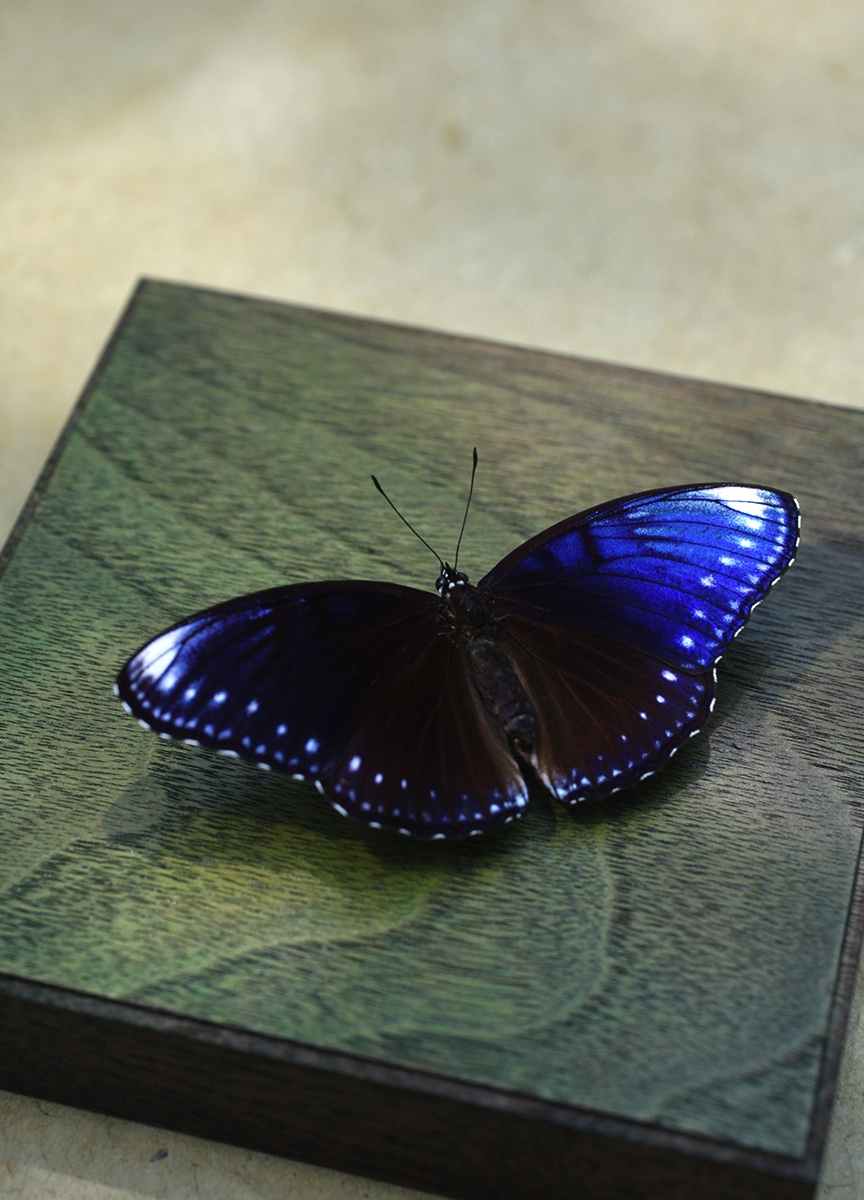 販売終了前に何点か追加予定です。 数日中にオンラインショップに