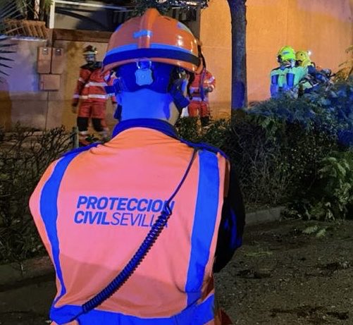 <a href="/tussamoficial/">TUSSAM</a> <a href="/emasesa/">emasesa</a> <a href="/LipasamSevilla/">Lipasam</a> Y recuerda. 

Hoy, como caída del año, volverán a estar en nuestras calles para protegerte y cuidarte.

Ten mucha precaución y sigue siempre indicaciones de Fuentes oficiales