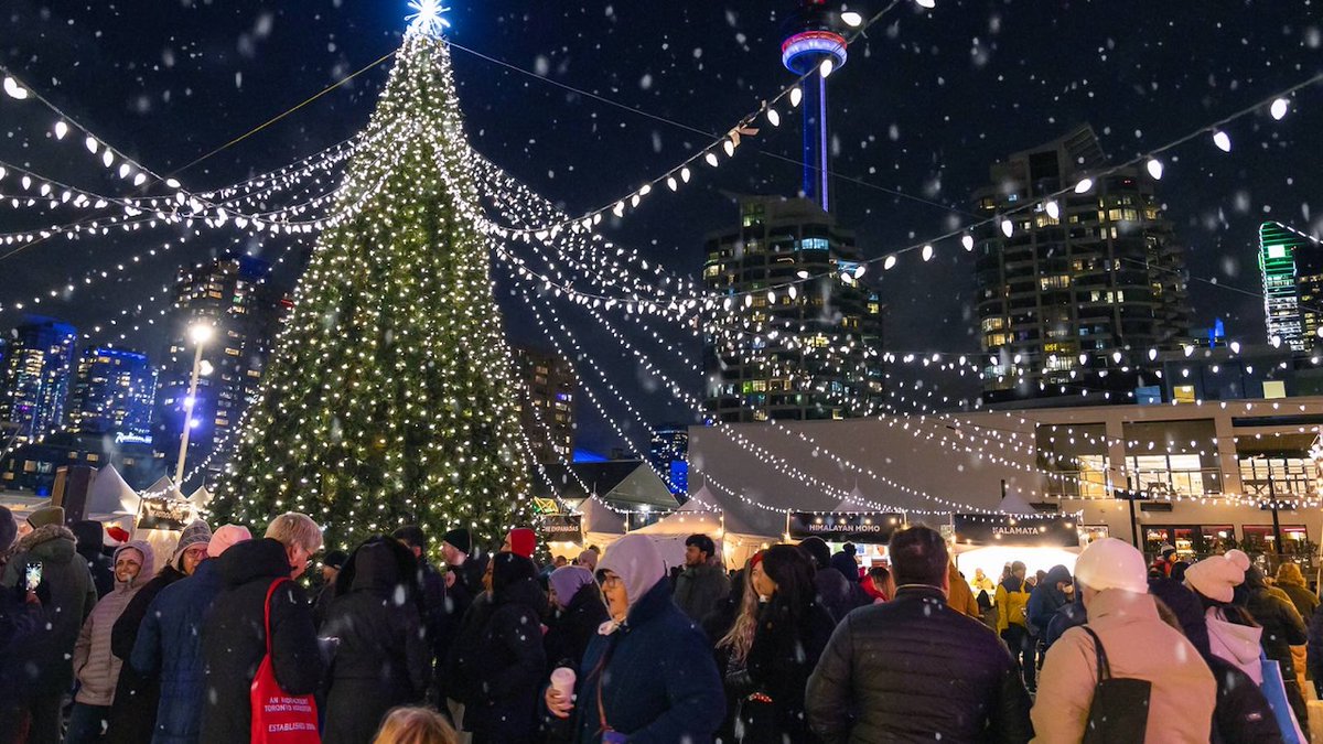 A magical, twinkling winter festival is returning to Toronto's waterfront this month streetsoftoronto.com/toronto-cultur…