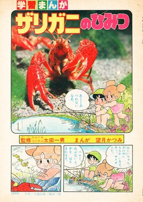 学習マンガ家の望月かつみ（もちつきかつみ）です。僕が描いた学習マンガ「ザリガニのひみつ」の7ページカラー原稿を1ページ7000円、49000円で売ります。私は肝硬変を患っており仕事が出来なくて昔の原稿を売って生活するしかないので皆さま買ってください。 お願いします。

auctions.yahoo.co.jp/jp/auction/120…