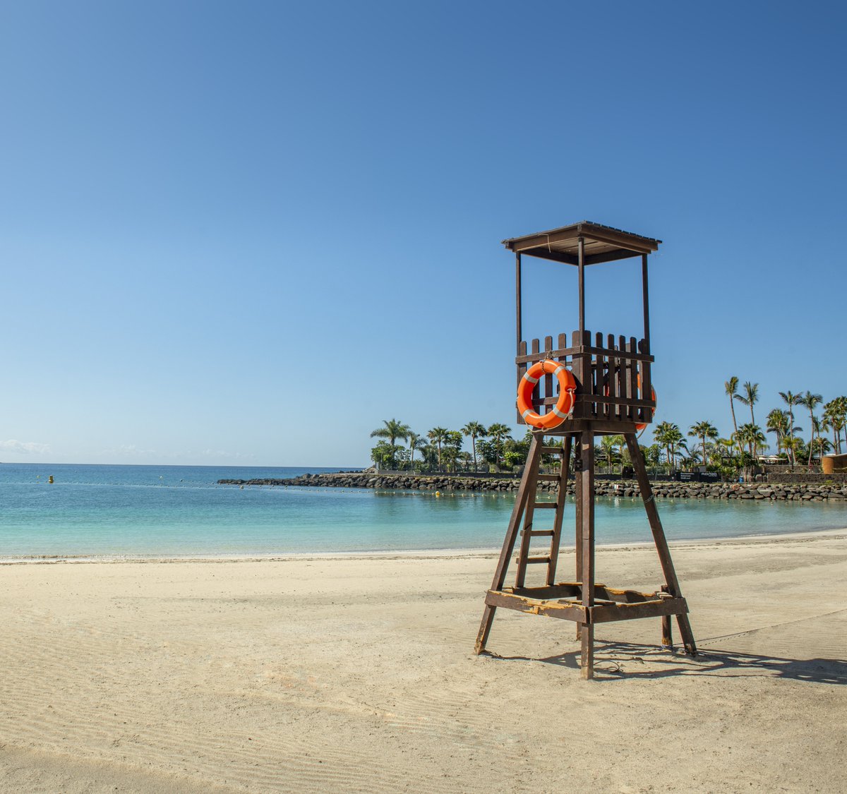 NuovoFaceMag's tweet photo. La meraviglia delle spiagge di #GranCanaria • 
Un viaggio tra sabbia, acque turchesi e libertà, nell’isola dal clima mite tutto l’anno, dove ogni onda racconta storie di viaggi, di terre lontane e di mare.
👉 https://t.co/ERDanCXkx6 

@turismogc #MuchoPorVivir @SpagnaInItalia https://t.co/91pCTwz6TY
