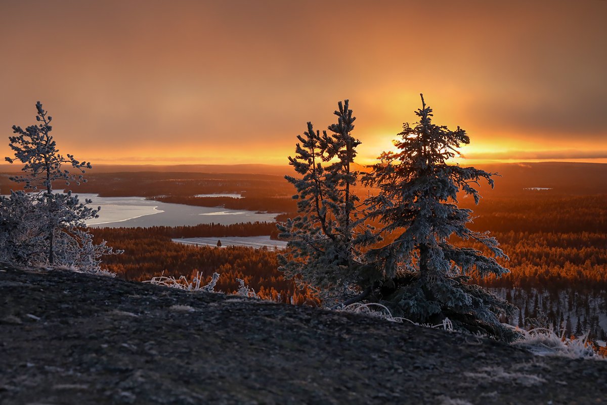 Alkutalvea Kuusamossa