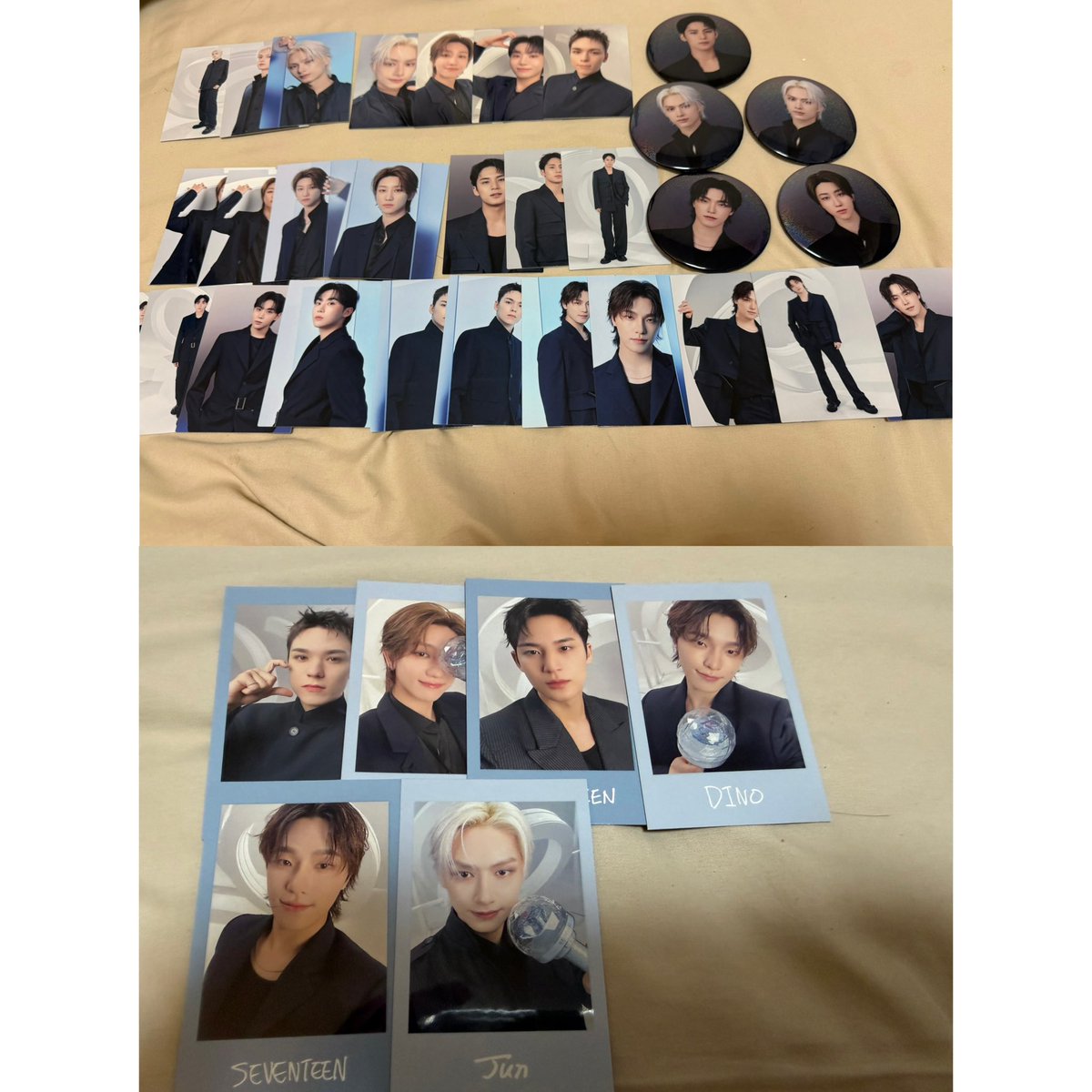 Joshua のわんこ tweet media