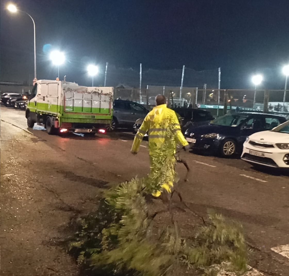 Trabajamos en las incidencias causadas por el paso de la borrasca Claudia. 

Durante las jornadas de jueves y viernes hemos retirado ramas y se ha intensificado la limpieza de bordillos y acumulación de residuos vegetales en imbornales

Hoy #sábado los trabajos continúan en