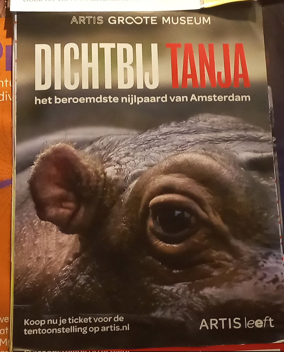 Ik ben immens populair in Amsterdam! @artisdierentuin
