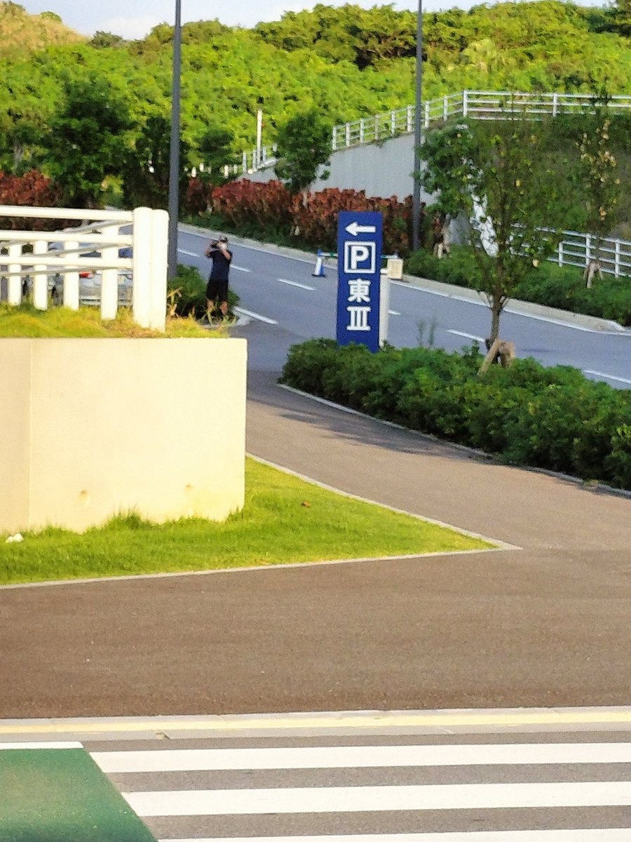 plusimage2's tweet photo. 今日、バイク転倒の目撃情報が取れないかと現場に聞き込みに行ってきた。

念の為に入院時にバイクの写真を撮っていたので、そこに写ってるバイクの持ち主なら何か知ってるかもと考え駐輪場で待っていたら、なんと偶然来られたので直接話を聞いてみた。

バイクの写真を見せると、あっこれ見た！との反応があったもののいつ倒れたのかは分からないとのことだった。

またその方、通りかかった警備員にも声をかけてくれて話をしたら、病院内の館内放送でバイク転倒の事を放送してくれていた事が判明。いや、有り難い。

その後暫く待ったが暗くなったので諦めた。

あと、待ってる間周りを見たら遠くで怪しいオッサンがスマホで病院方面一体を撮影しているのを発見。なんか僕も撮られてる気がしたので近づいて写真を撮ったが、その後学生優先駐車場に入っていった。ところが数分後、そのオッサン道に出てきてこちらを伺うようにじーっと見ていた後すぐに車で去って行った。

明らかに挙動不審だったので、病院の警備室に報告しておいた。

※バイク転倒したのは写真のマルの所です。