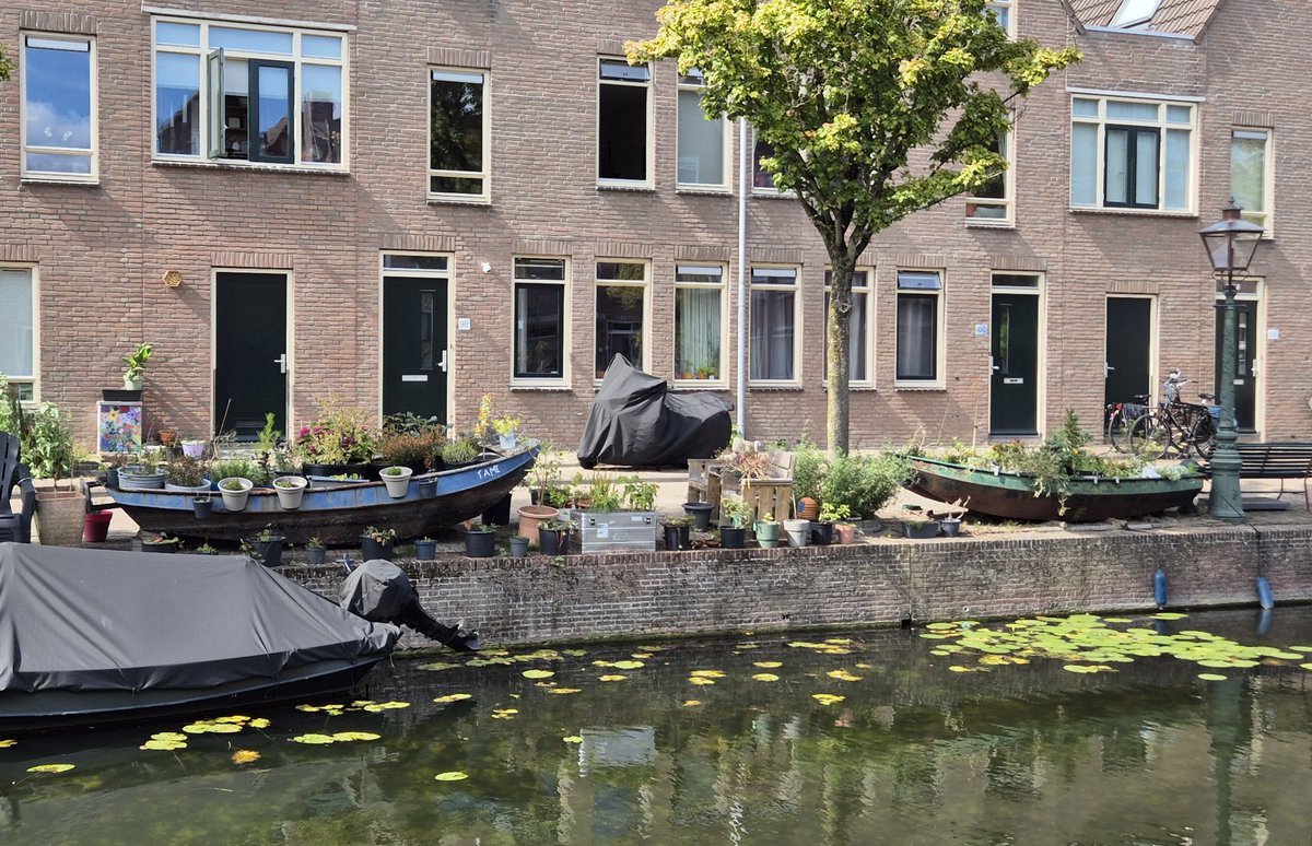 NandaSluijsmans's tweet image. In #Leiden zijn bewoners heel vindingrijk hoe je je eigen straat kunt vergroenen. Oude boten op de kade en dan planten erin.😅👌🌿🌸 

#GroenInDeStraat