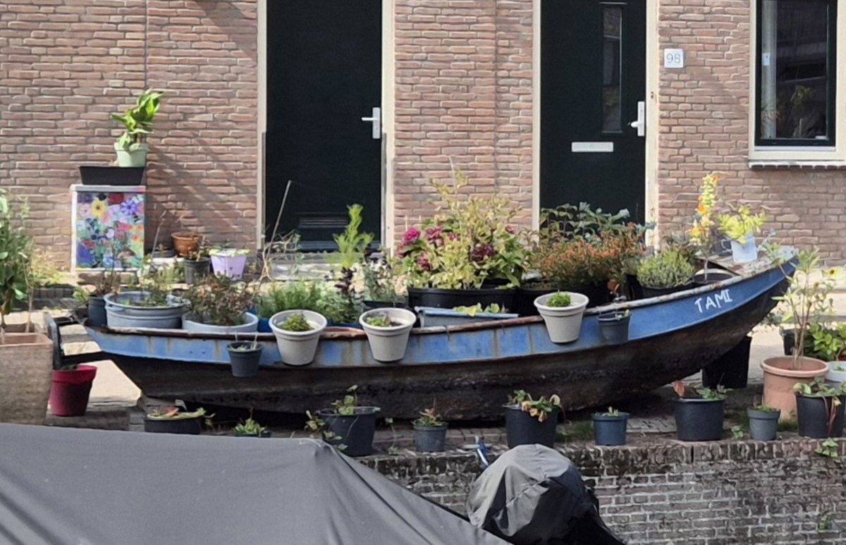 NandaSluijsmans's tweet image. In #Leiden zijn bewoners heel vindingrijk hoe je je eigen straat kunt vergroenen. Oude boten op de kade en dan planten erin.😅👌🌿🌸 

#GroenInDeStraat