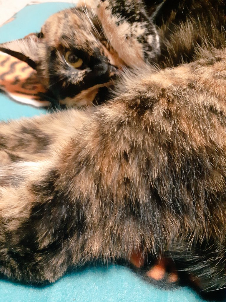 はるるん (@RNPrJ9xfX3PSoaA) / Posts / X