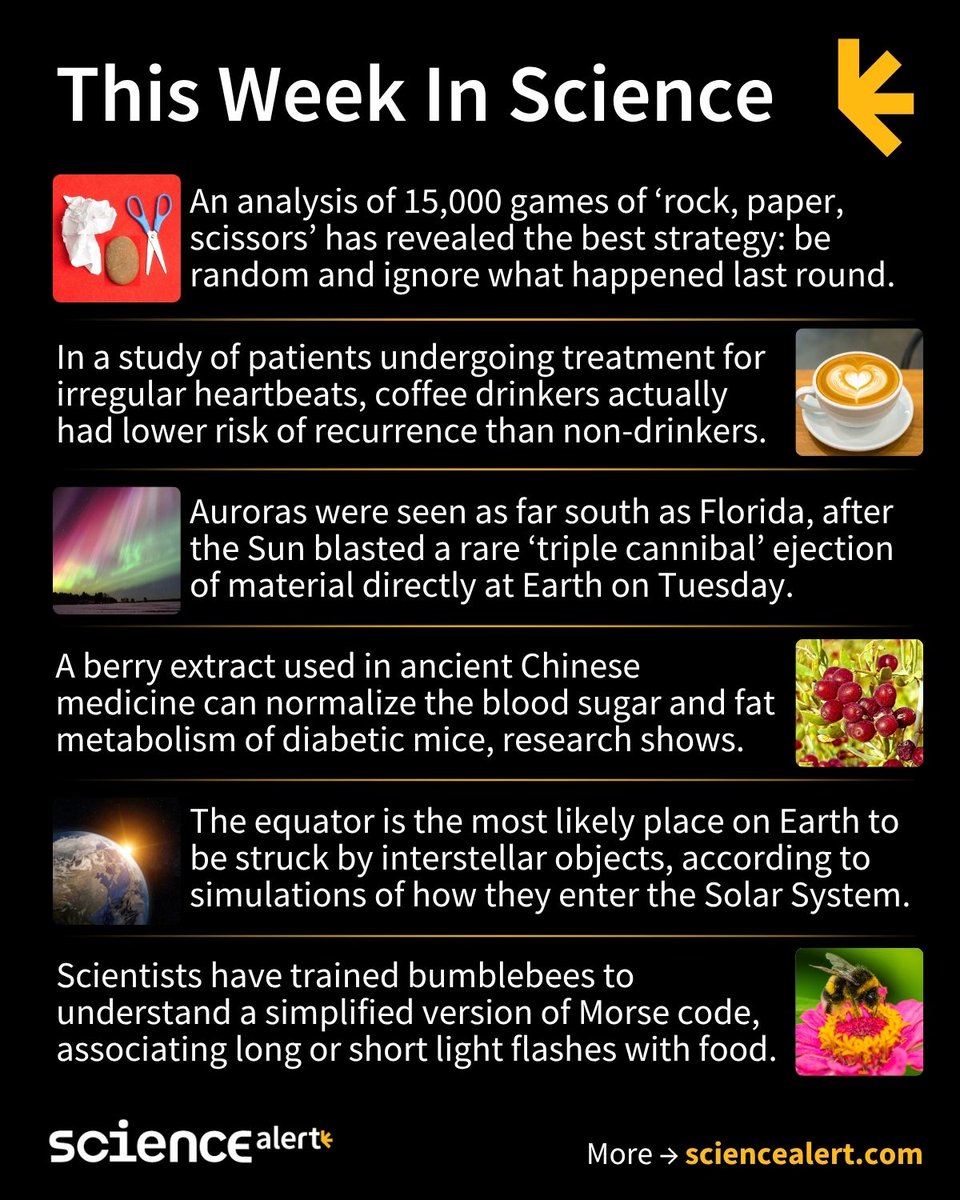 ScienceAlert's tweet image. This Week In Science (November 9 – 15) 🧪

The best Rock, paper, scissors strategy, widespread aurora, bees learning Morse Code, and much more!

Story links in thread. 🧵 

#ScienceNews #ScienceAlert #STEM #ThisWeekInScience #TWIS