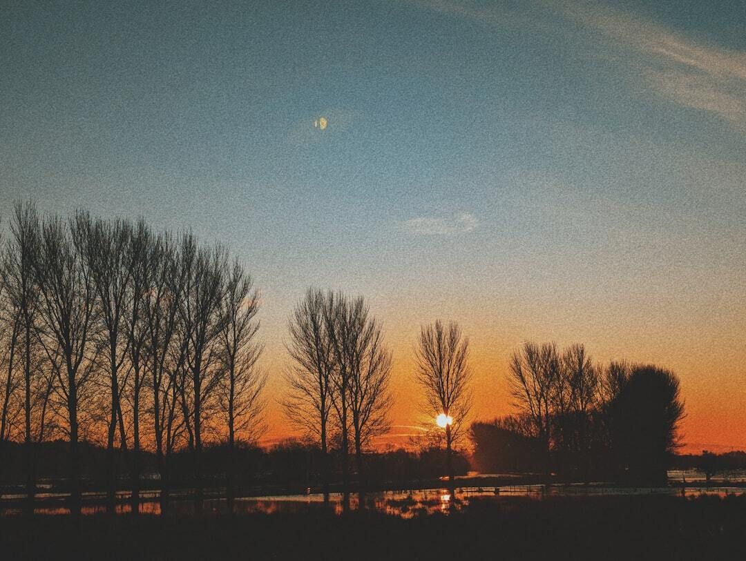 HIPHuntsville's tweet image. Good morning, #5amwritersclub. The best stories grow from small, persistent beginnings. Yours is growing right now. 🌿 

#MorningWriting #6amwritersclub #WritingCommunity #AmWriting #AmQuerying #IndieAuthor #AuthorsOfTwitter #WIP