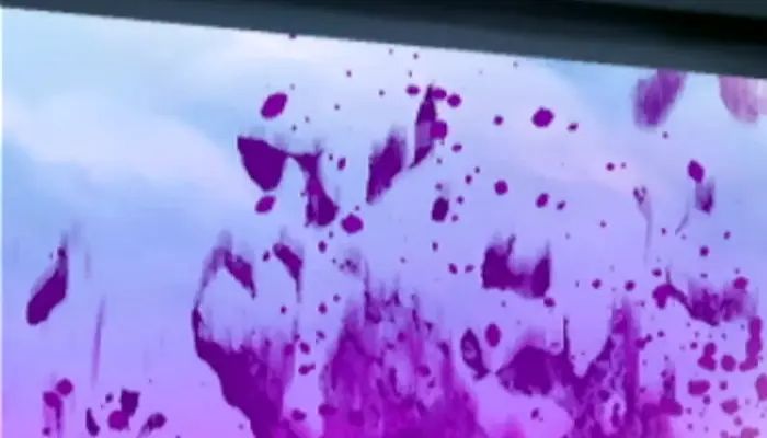 Today's game is up! 
GuessThe.Game/p/1281 #GuessTheGame