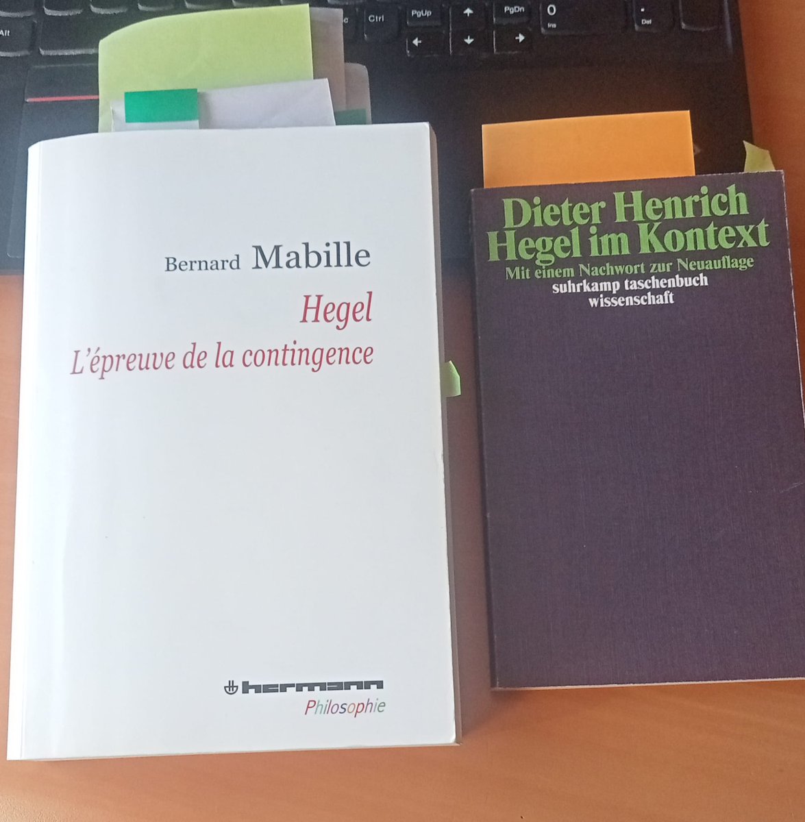 Hegel, olumsallık ve zorunluluk demişken Henrich'in makalesi ile Mabille'in çalışması dikkate değer iki yorum.