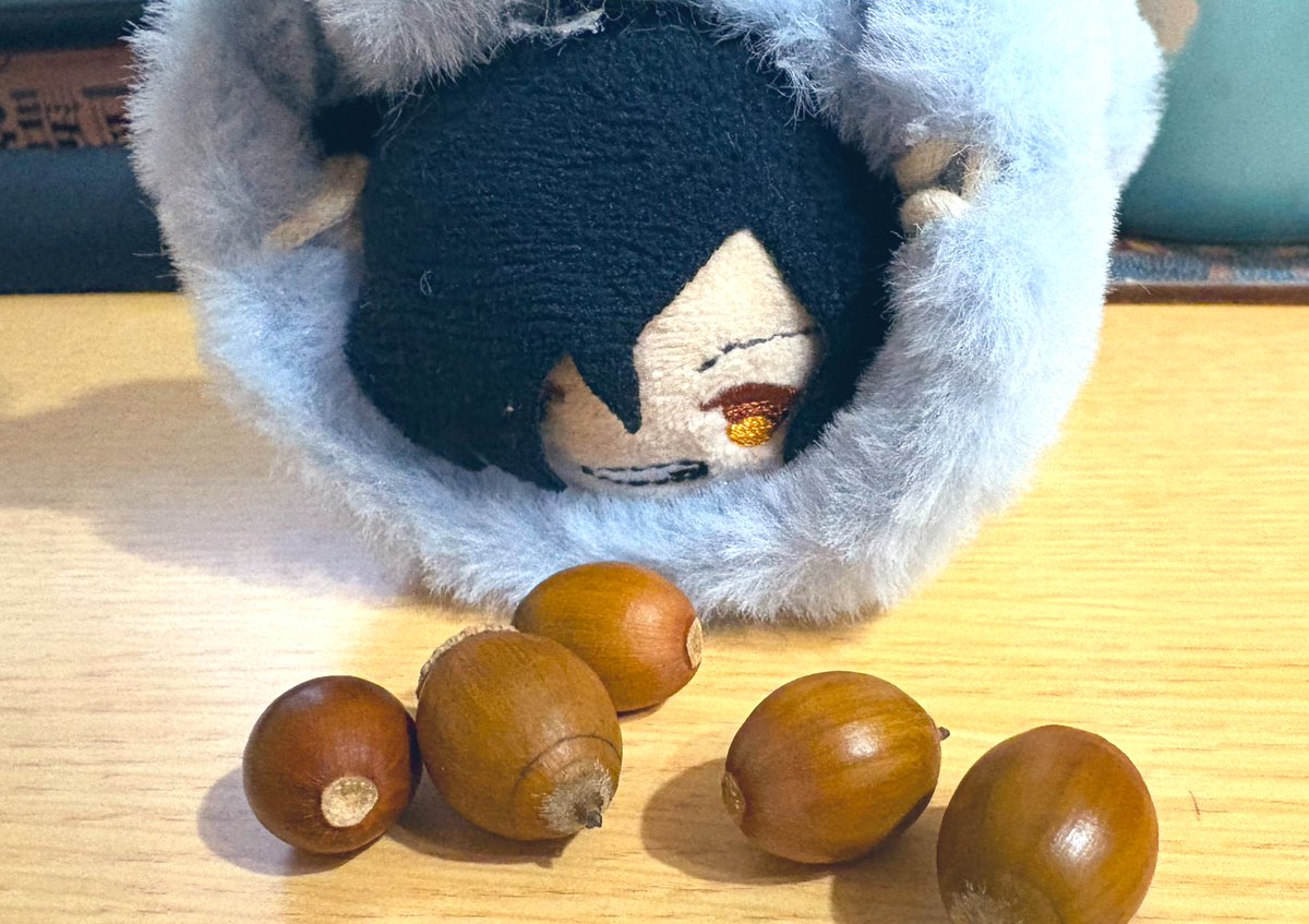 Post by むつがみ on X: どんぐりころころ