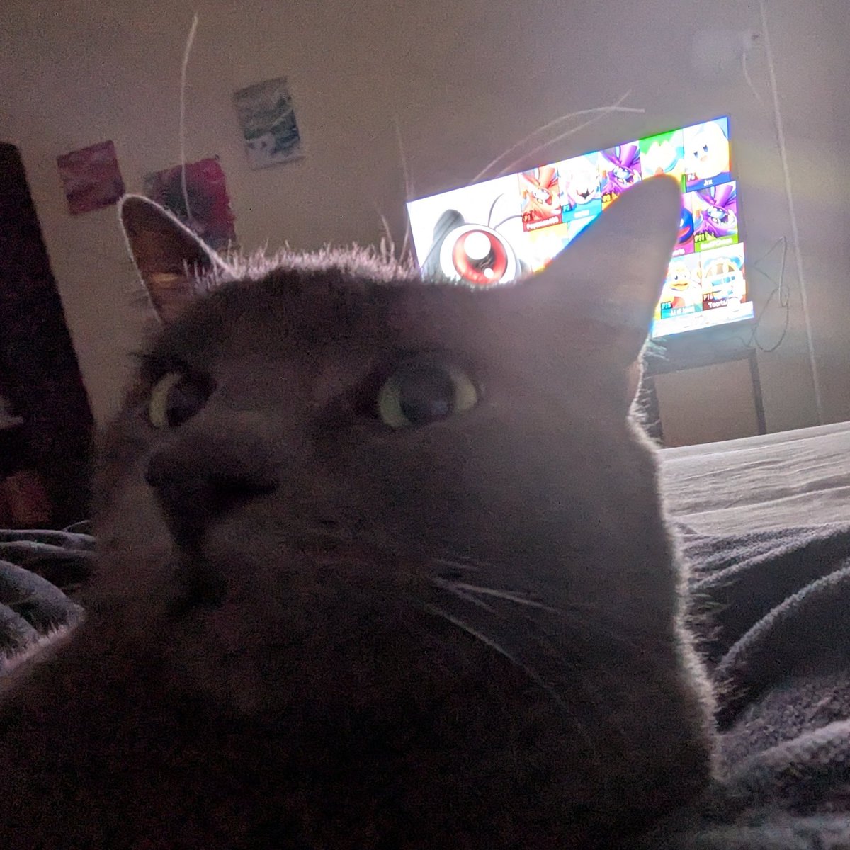 FlowFGC's tweet image. 