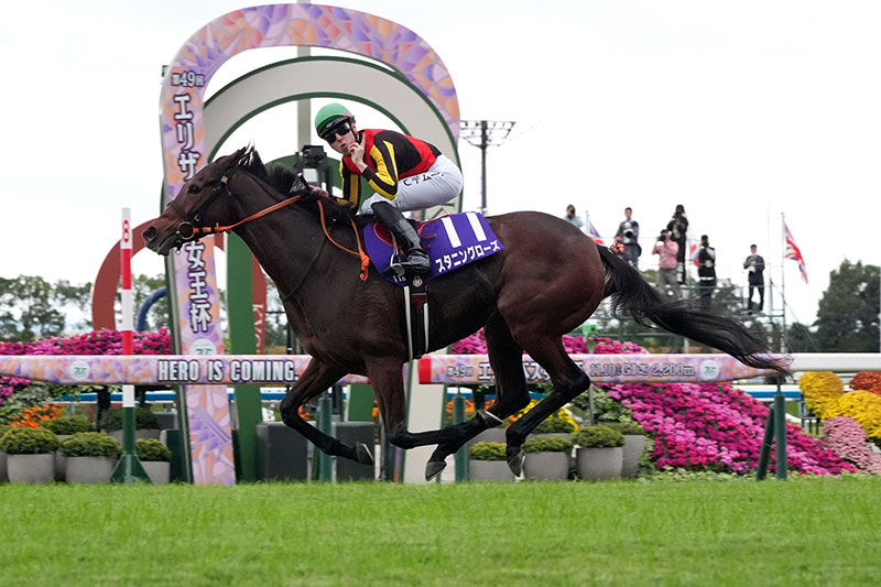 jimuin7035's tweet image. アメブロを更新しました。『3101 ｢第50回エリザベス女王杯競走｣予想印での予想｡』
⇒ ameblo.jp/senohia7027/en… #アメブロ @ameba_officialより