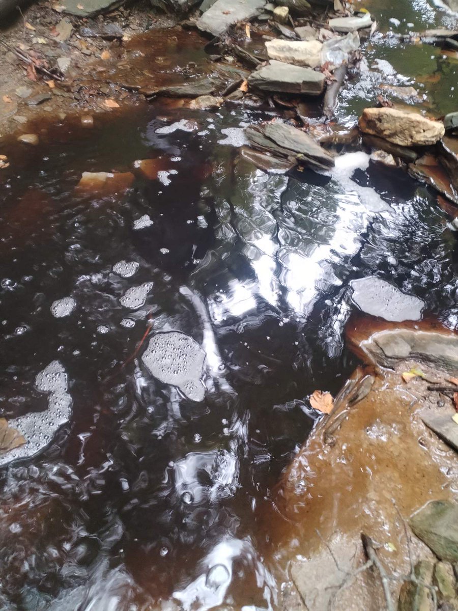 DNDD_031's tweet image. Turski potok je pete,najgore kategorije zagađenosti,potpuno neupotrebljiv i u stanju teške ekološke degradacije-ekološki mrtav ‼️
Rezultati analize pokazuju ekstremno zagađenje.U odnosu na prvu klasu 462 puta više je amonijaka,92 puta je više nitrita,a 40 puta više nitrata...