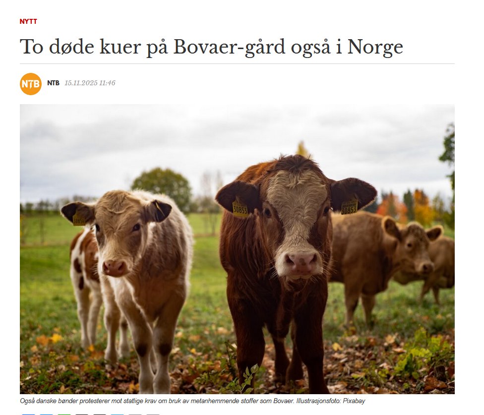 Espen Teigen tweet media